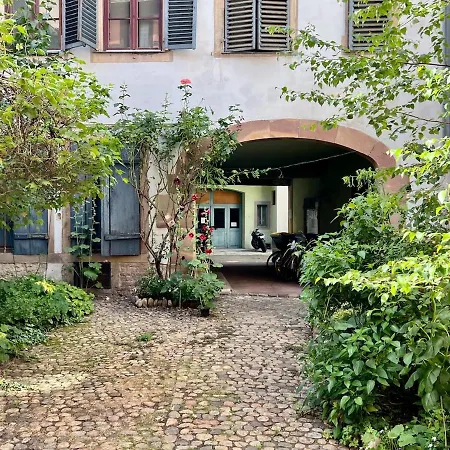 Ecologement Cosy Au Centre De Estrasburgo