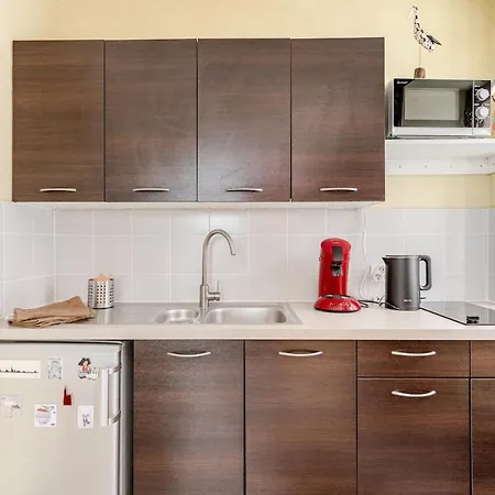 Ecologement Cosy Au Centre De * Estrasburgo