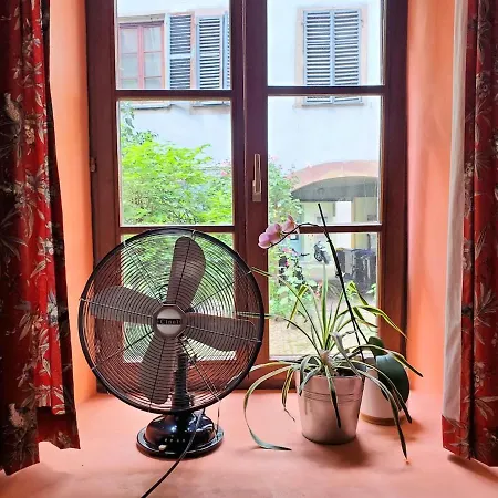 Ecologement Cosy Au Centre De Apartamento *