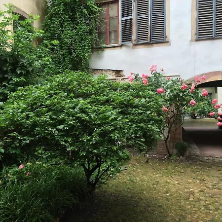 Ecologement Cosy Au Centre De Apartamento Estrasburgo
